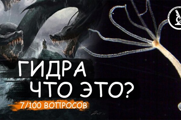 Kraken 12at