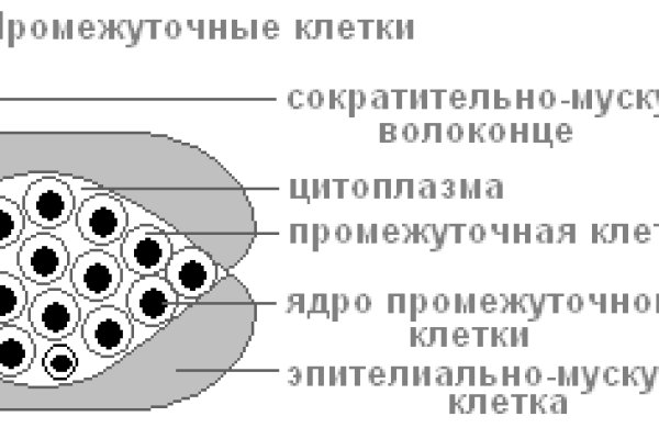 Кракен ссылка призыва нет