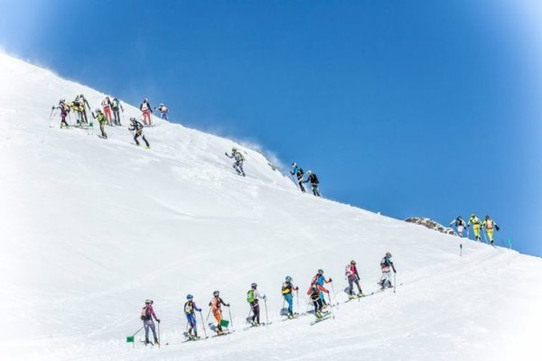 Кракен клирнет
