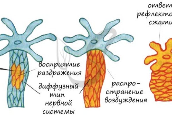 Кракен зеркало тор picassogallery com